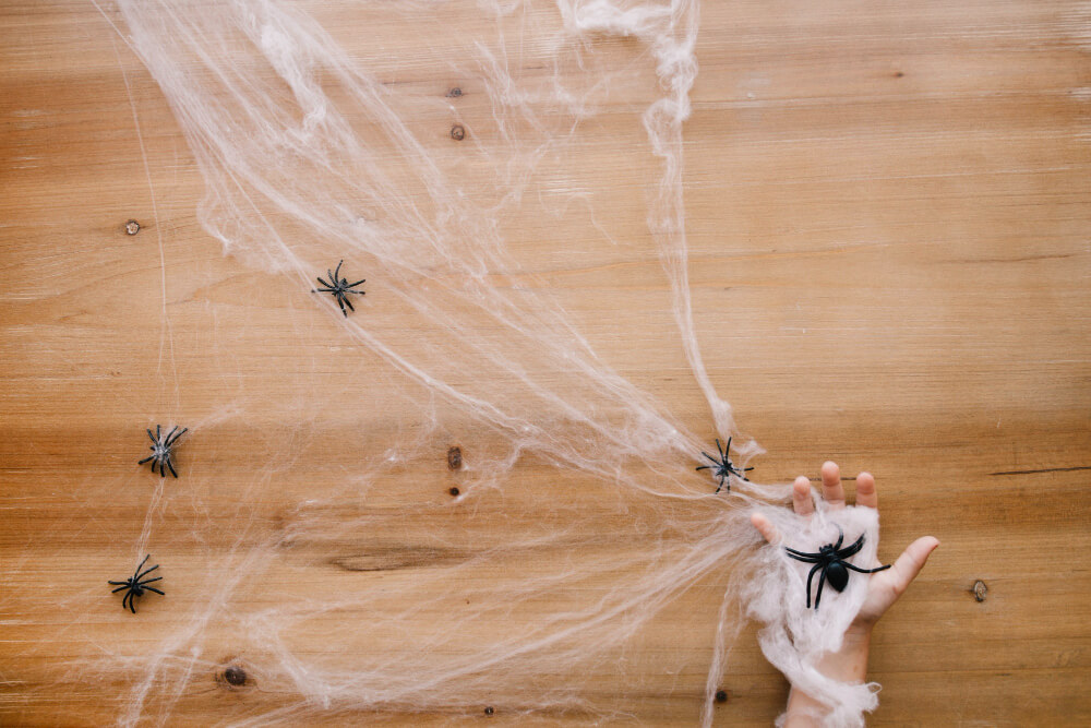 DIY-Spider-Control