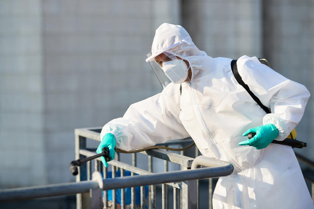 Seasonal Pest Infestations in the UAE