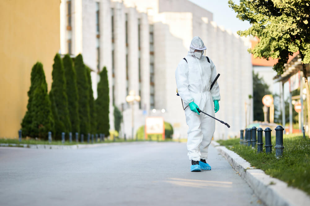 Top-Rated-Pest-Control-Services
