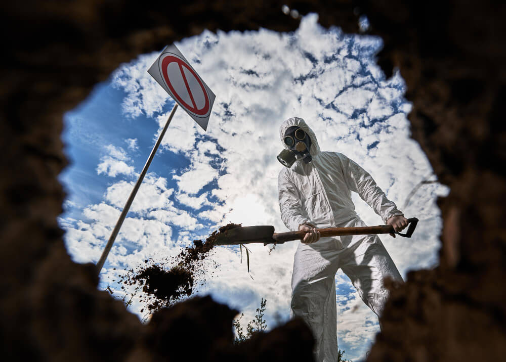 Professional Ants Control in Abu Dhabi