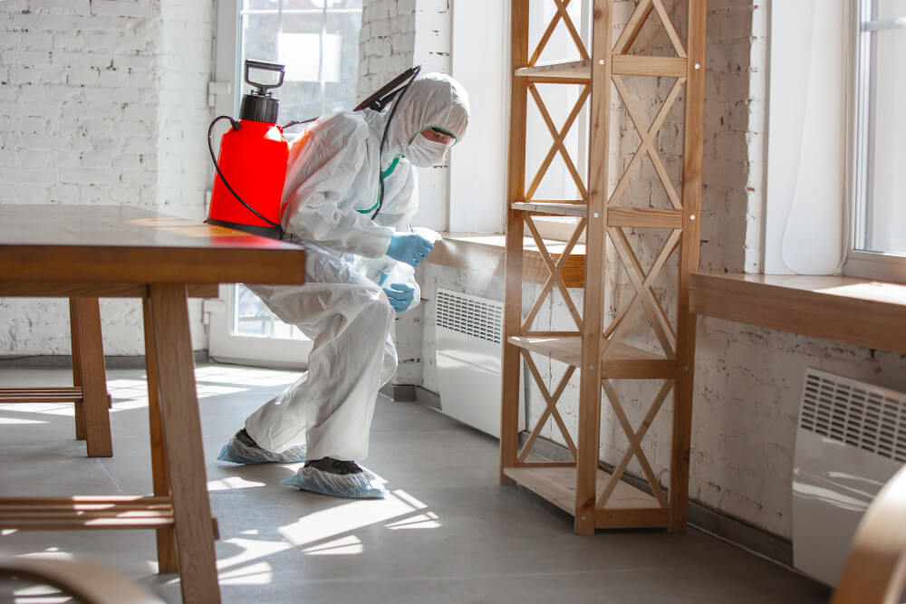avoid during anti-termite treatment