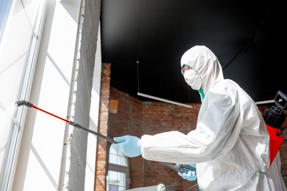Top rated disinfection services in Abu Dhabi