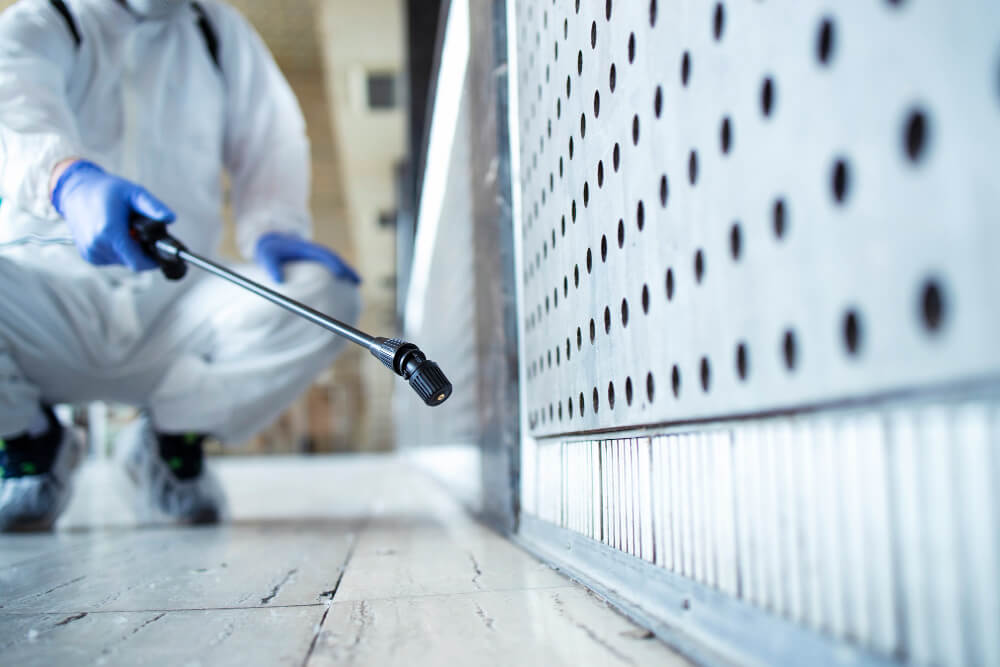 Efficient cockroach control in Abu Dhabi