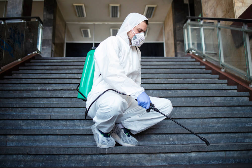 Top-rated ant control company in Abu Dhabi