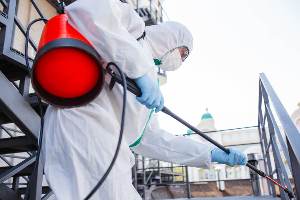 Trusted pest control services in UAE