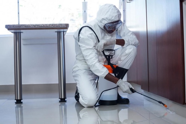 pest control services in abu dhabi