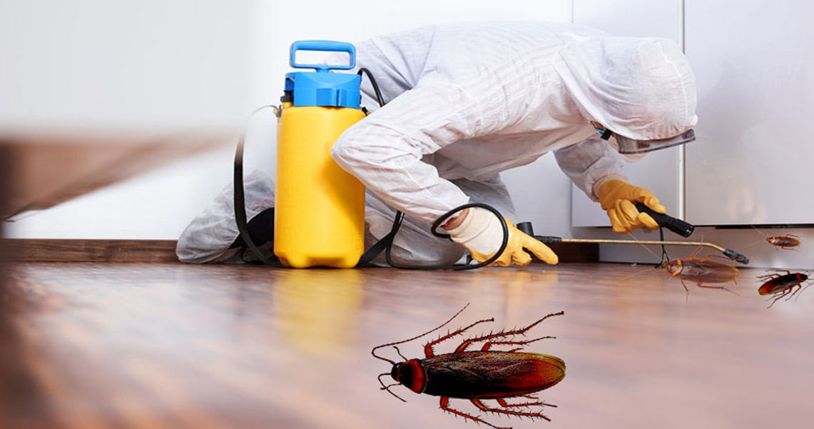 Premier pest control services in Abu Dhabi