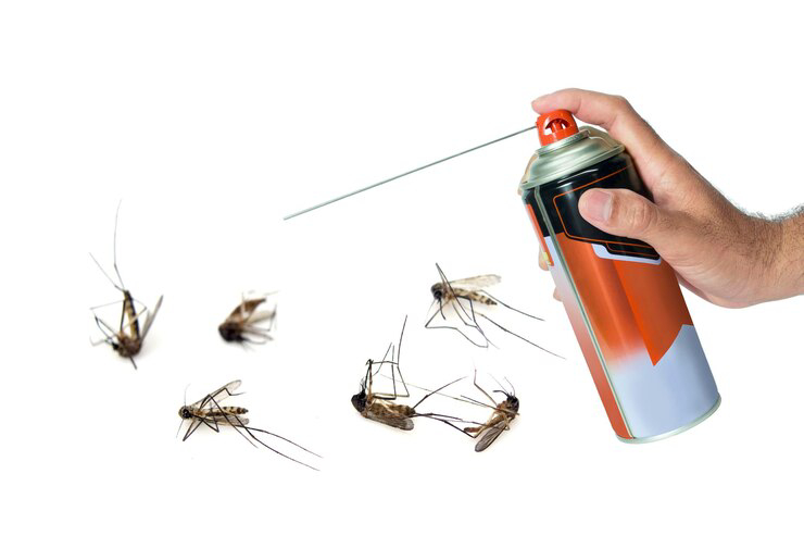 flies pest control services abu dhabi