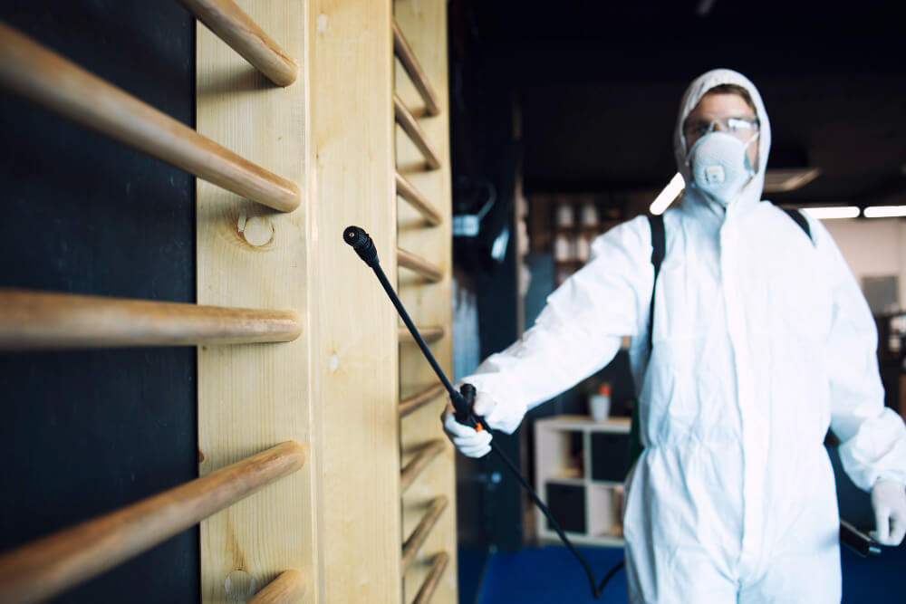 High-Quality Anti Termite Treatment in Abu Dhabi