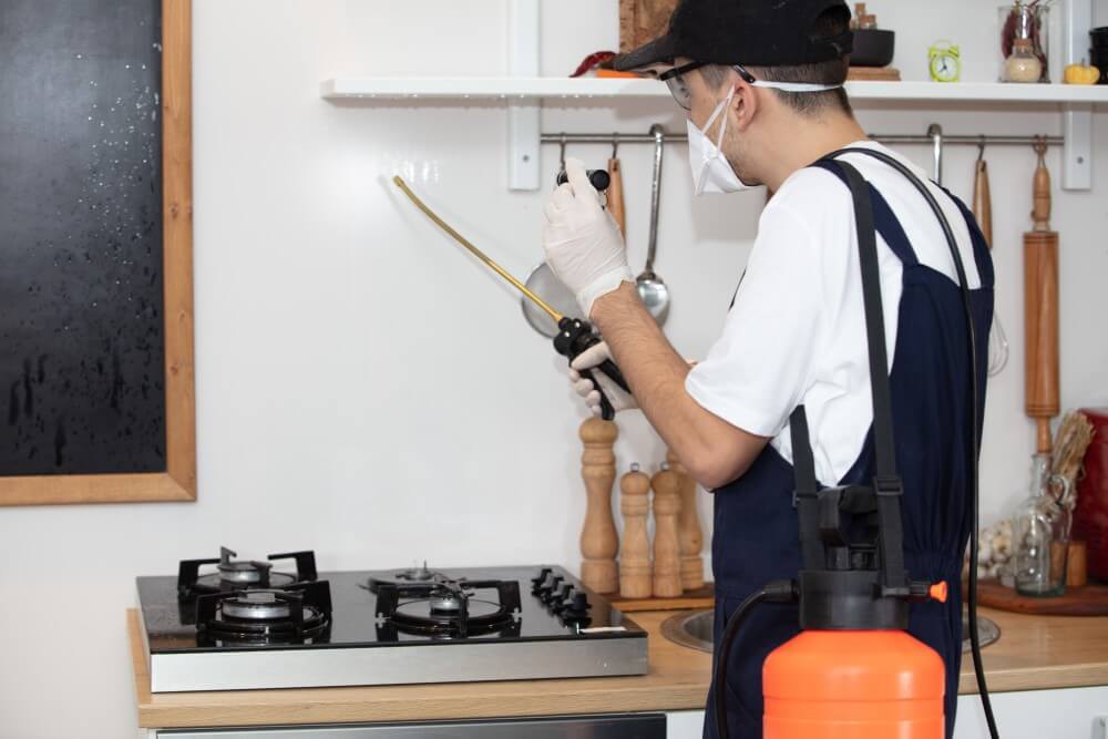 Top rated pest control services in Abu Dhabi 