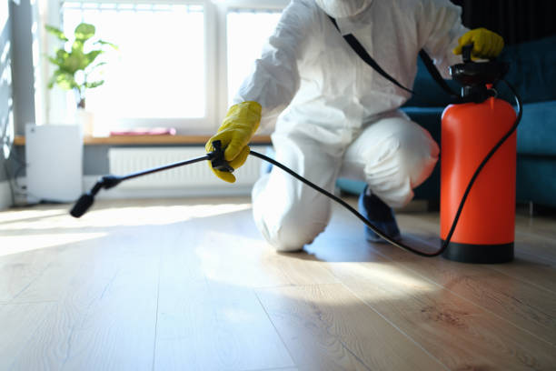 Best pest control in Abu Dhabi