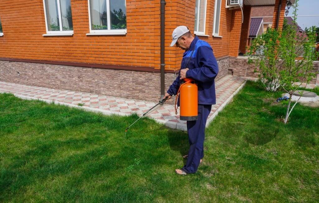 Most trusted pest control services UAE