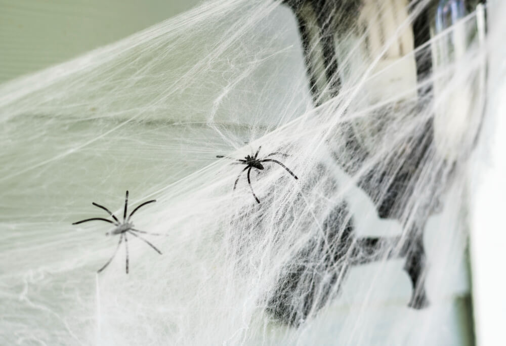 : Effective Spider Pest Control Near Me