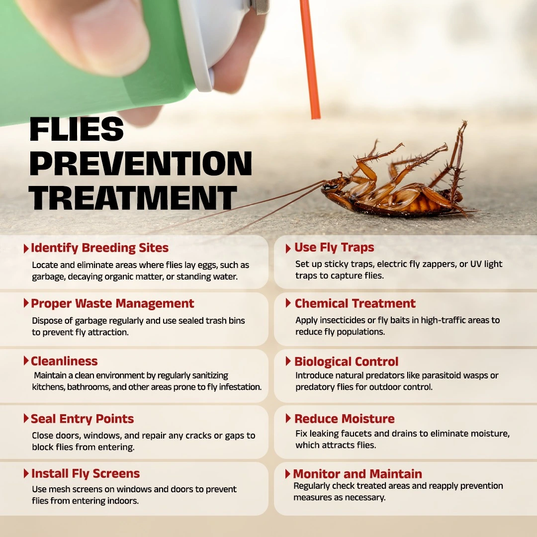 Treatment for flies pest control services