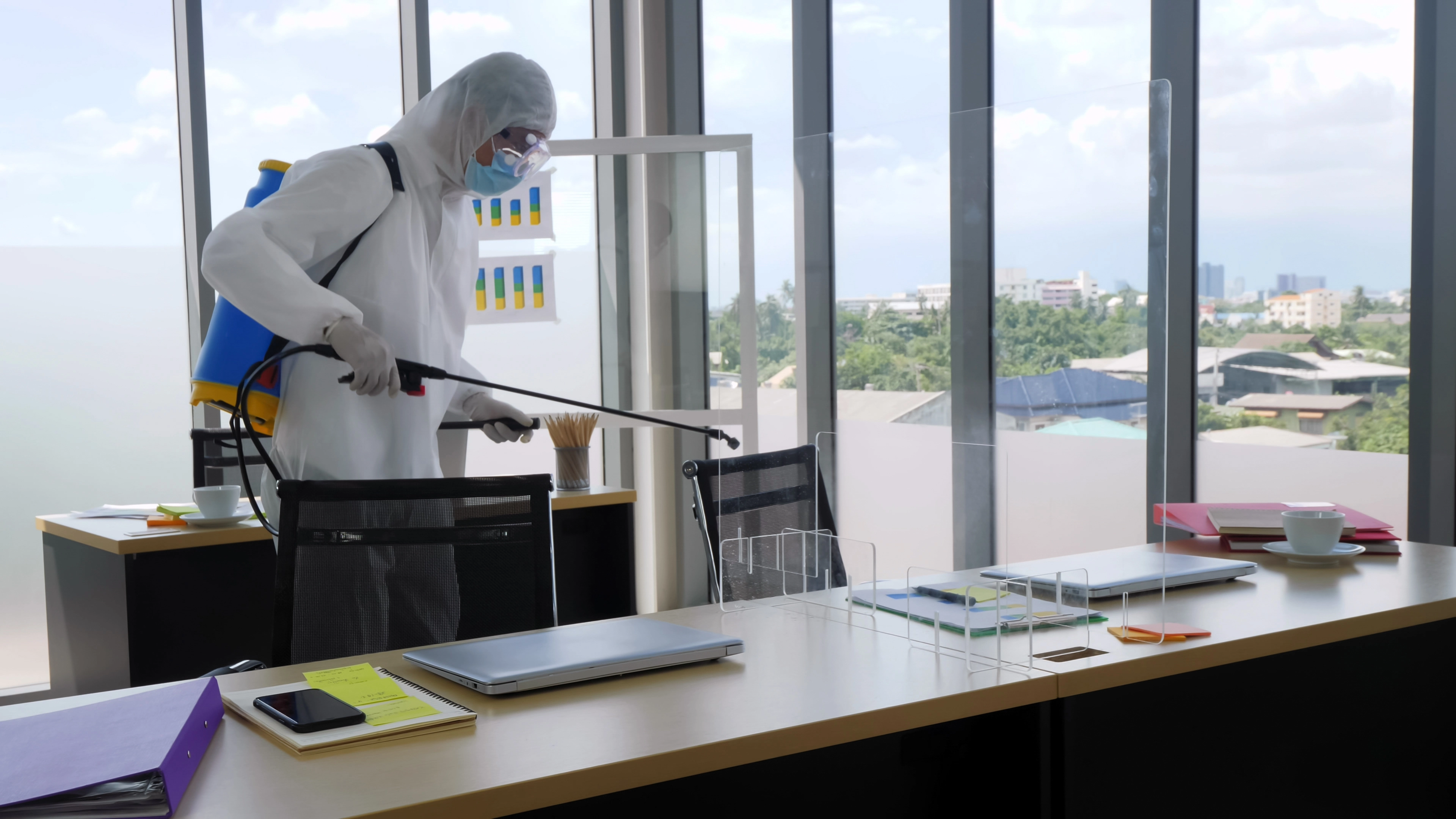 Pest Control Abu Dhabi