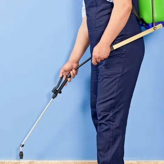pest control company abu dhabi